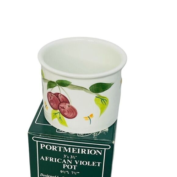 Portmeirion Succulent Plant African Violet Cache Pot Summer Fruits - Picture 3 of 5